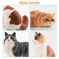 EYSCOTA 12PCS Realistic Cat Figurines, Plastic Cat Figure Set, Model X-DMAO02-BUOU01, Perfect for Kids' Birthday and Christmas Gifts
