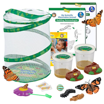 Insect Lore Butterfly Garden With Two Cups Of Live Caterpillars, Life Cycle Figurines, English And Spanish Butterfly Stem Activity Journals | 10 Painted Lady Butterfly Baby Caterpillars