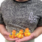 Cool Rubber Ducks (2') Standard Size. (12 Pack) Cute Duck Bath Tub Pool Toys. (Construction Rubber Ducks)