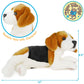 Tigerhart Burkham The Beagle - 14 Inch Stuffed Animal Plush