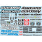 Team Associated AE Branding Decal Sheet ASC91913 Electric Car/Truck Option Parts