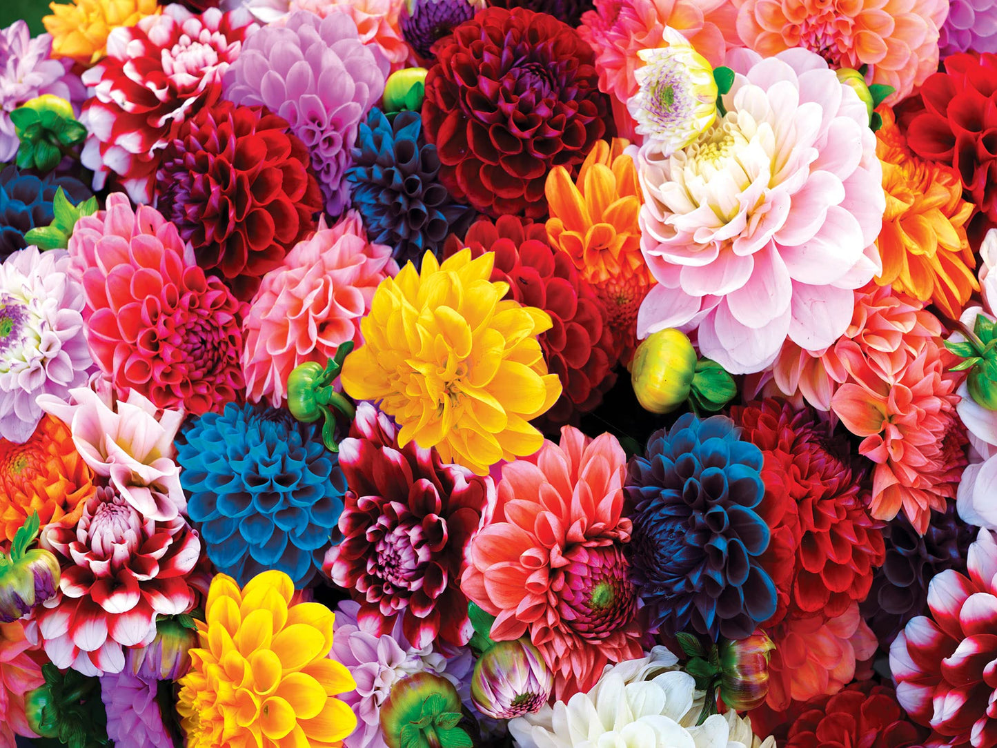MasterPieces 550 Piece Jigsaw Puzzle - Beautiful Blooms - 18"x24" - Paper - Model 81454