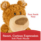 GUND Bexley Teddy Bear  enhanced Teddy Bear Stuffed Animal for Ages 1 and Up  Brown  12