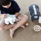PLAN TOYS All Other Medical Games PLANTOYSSET Pet Care, Multi-Colour (More Than One)