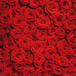 RUINI Floral Wedding Photography Backdrop, Red Roses, 5x7FT, Vinyl Material, Model RUINI_Flower034