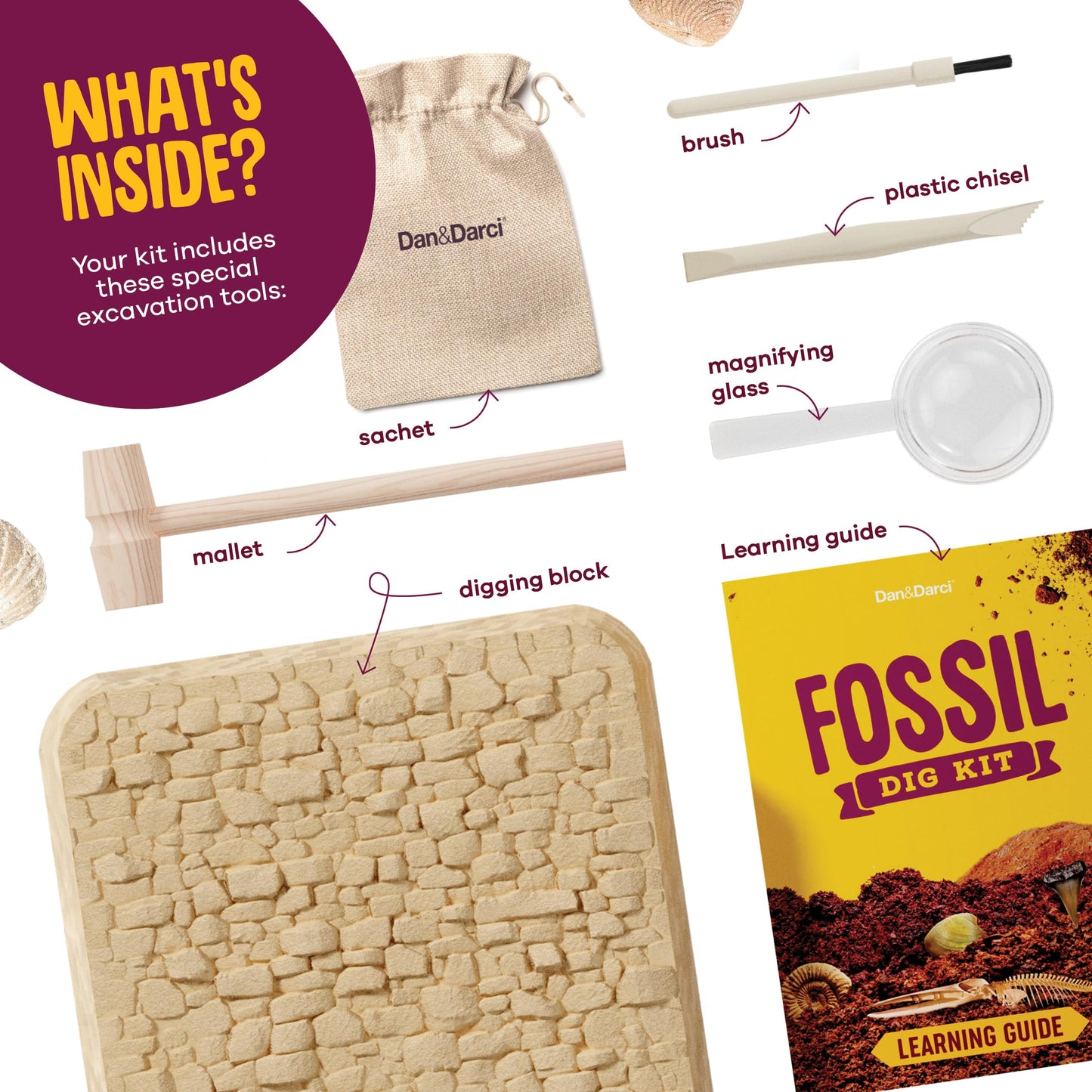 Dan&Darci Real Fossil Dig Kit For Kids - Easter Science Kits For Boys & Girls Age 8-12 - Birthday Gift Ideas For 8, 9, 10, 11, 12 Year Old Boy Or Girl - Fossils Digging Stem Toys For Ages 8-13