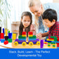 Dimple Large Stackable Building Blocks Set for Kids, 300 Pieces, Multicolor, Safe Non-Toxic Plastic, Age 3+