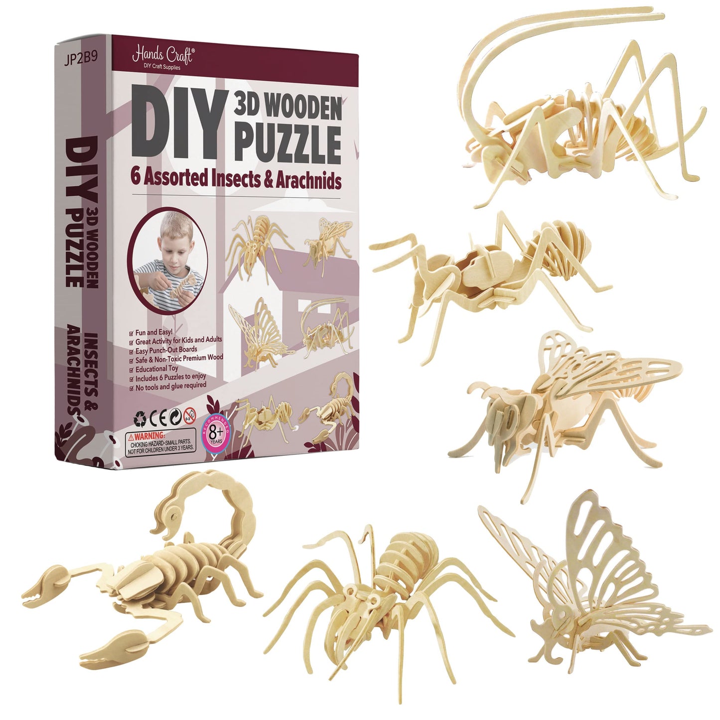 Hands Craft DIY 3D Wooden Puzzle - 6 Assorted Insects & Arachnids Bundle Pack Brain Teaser Puzzles Educational STEM Toy mature-themeds and Kids to Build Safe and Non-Toxic Easy Punch Out enhanced Wood JP2B9
