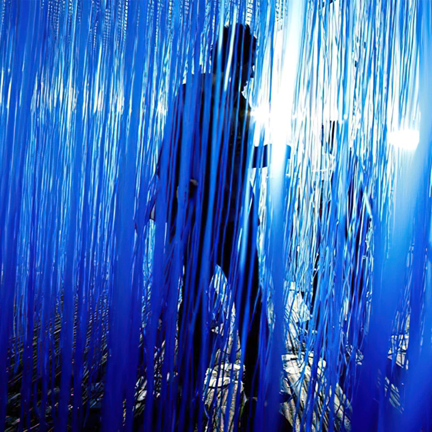 PartyWoo 2 pcs Royal Blue Foil Fringe Curtain, Metallic Foil Tinsel Fringe Backdrop Door Fringe for Birthday Wedding Party Photo