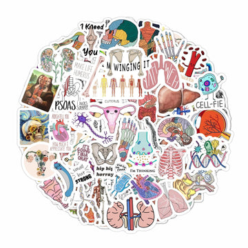 Bulbacraft 100Pcs Anatomy Stickers, Human Anatomy Decals, Body Part Stickers, Brain Stickers, Physiology Stickers, Anatomy And P
