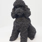 Conversation Concepts Black Poodle Figurine