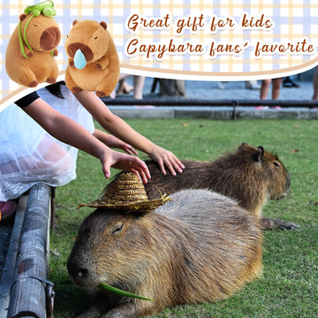 Simgoing 2 Pcs Cute Capybara Stuffed Animal 9'' Capybara Plush Cartoon Soft Brown Capybara Plushie Lovely Capybara Plush Gifts For Adults Birthday Party Favor Supply(Turtle Bag, Snot)