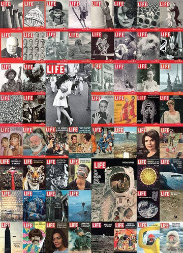 Eurographics The Life Cover Collection (1000 Piece) Puzzle (6000-0819) , Black
