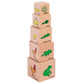 The Freckled Frog Life Cycle Wooden Blocks - Set Of 5 - Ages 12M+ - Science Toys For Toddlers - Explore 5 Stages Of The Moth, Butterfly, Chicken, Frog