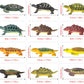 Animal Assorted Mini Plastic Figures Toy Set, Educational Party Cake Topper, Goody Bag Filler (12Pcs Small Tortoise)
