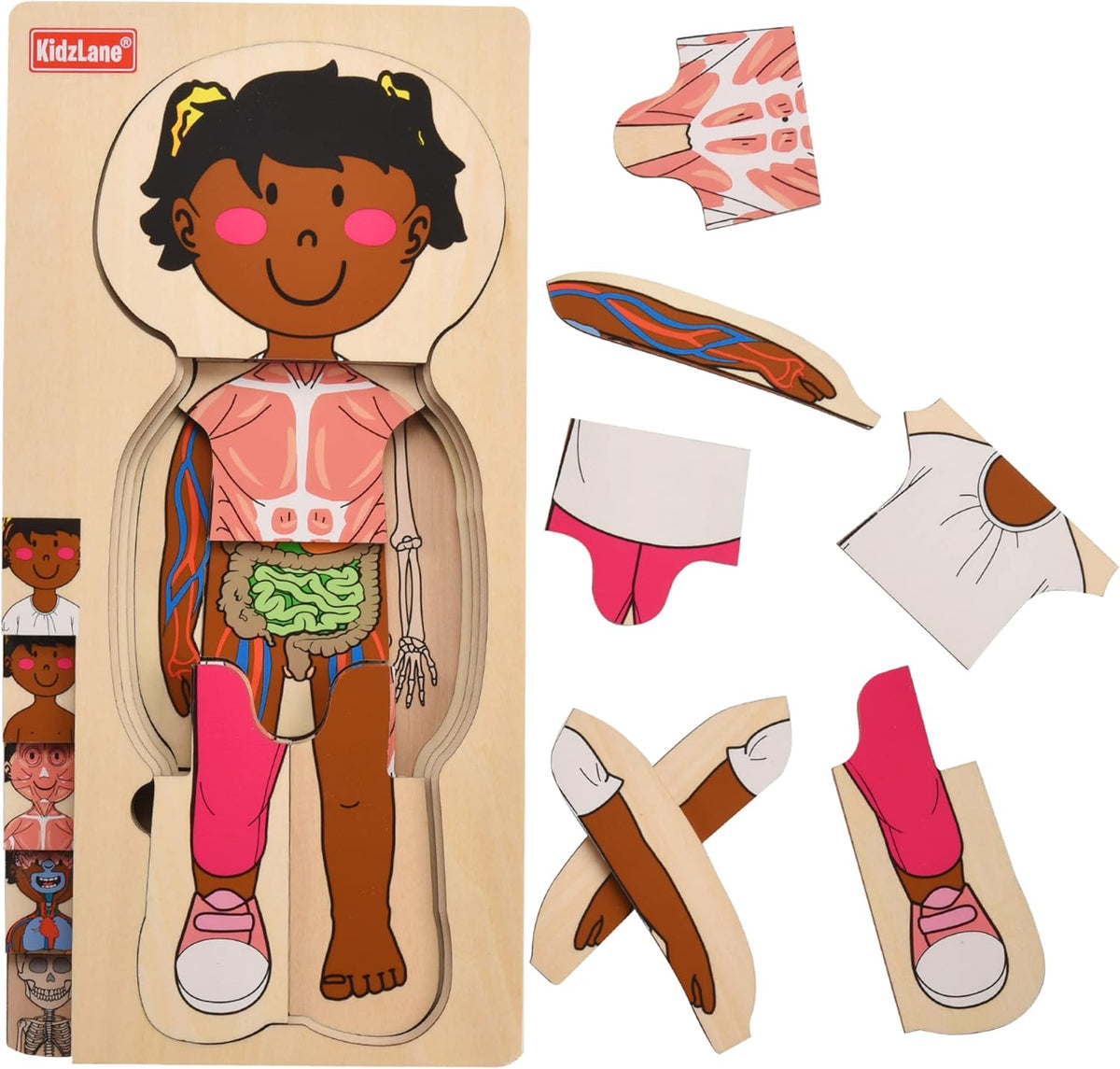 Human Body Puzzle - Toddlers Design
