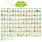 Wjpc 55 Cards, 106 Pcs High Frequency Sight Words Flash Cards (Kindergarten), Toddler Flash Cards For Kids Ages 4,5,6,7 Years. Learn To Read, Write, Sentence-Making