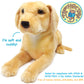 TigerHart 19-Inch Labrador Stuffed Animal Plush Toy - Multicolor, Polyester, Model 721107392330