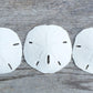 Sand Dollar - Real Sand Dollars - 2 1/2 to 3 (3pk) - Sand Dollar Shells - Wedding Seashell Craft - Sand Dollars for Crafts - San