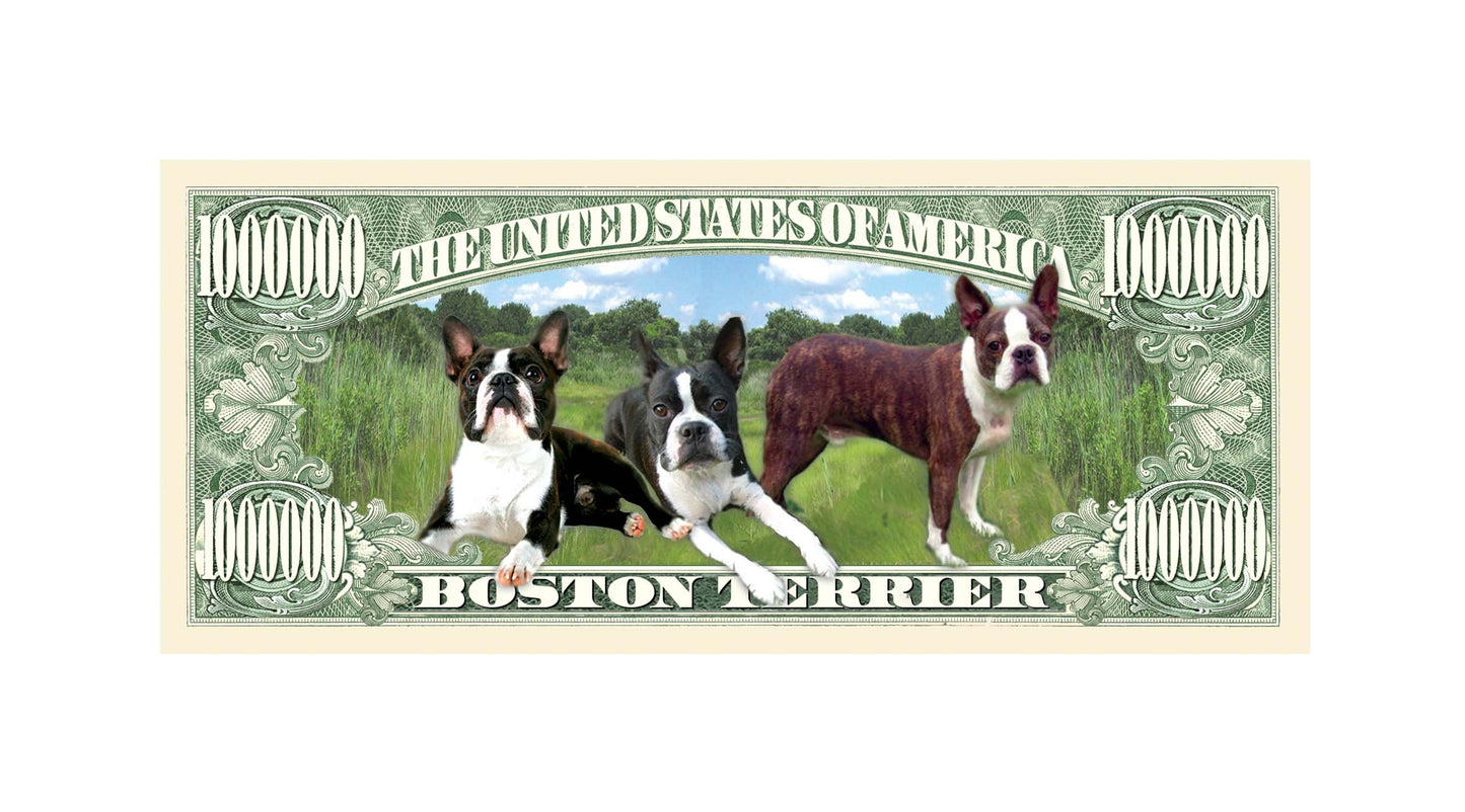 American Art Classics Boston Terrier Million Dollar Bill - Pack Of 5 - Best Gift For Lovers Of Boston Terriers