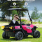 ELEMARA 24V Ride on Toy for Big Kid,Ride on Car 2 Seater w/Sun Shade,Dump Bed & Shovel,4.5MPH,4WD Electric Car for Kids,Battery