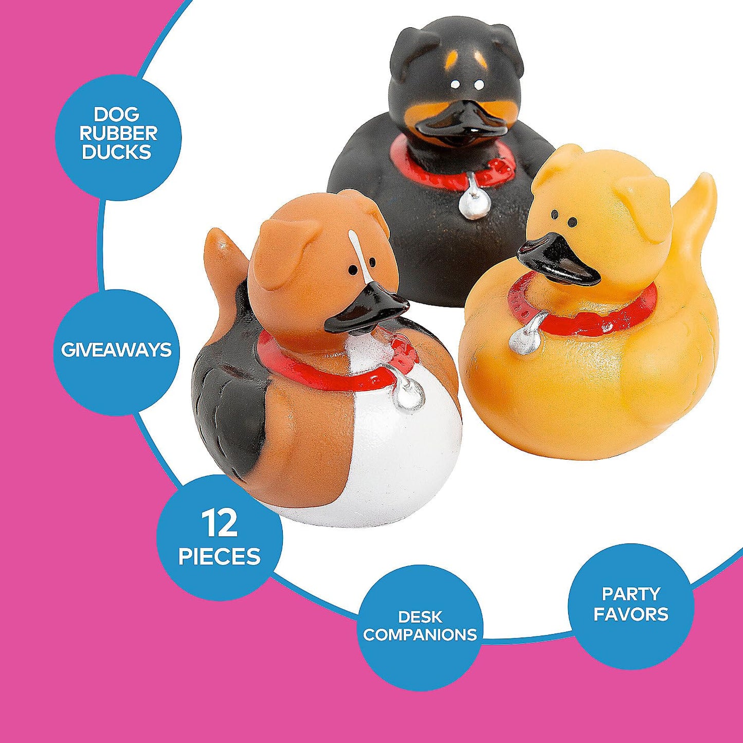 Fun Express Dog Rubber Duckies - Party Favors and Giveaways (Set of 12 Ducks)