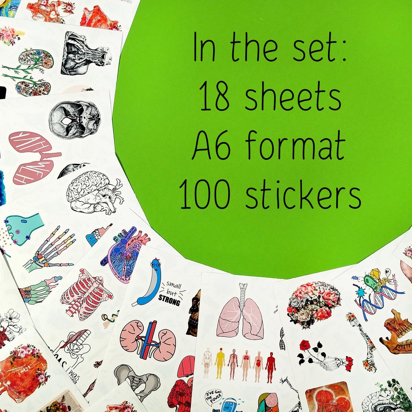 Bulbacraft 100Pcs Anatomy Stickers, Human Anatomy Decals, Body Part Stickers, Brain Stickers, Physiology Stickers, Anatomy And P