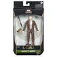 Marvel Legends Loki Series Mobius limited availability Action Figure  (F02255L00)