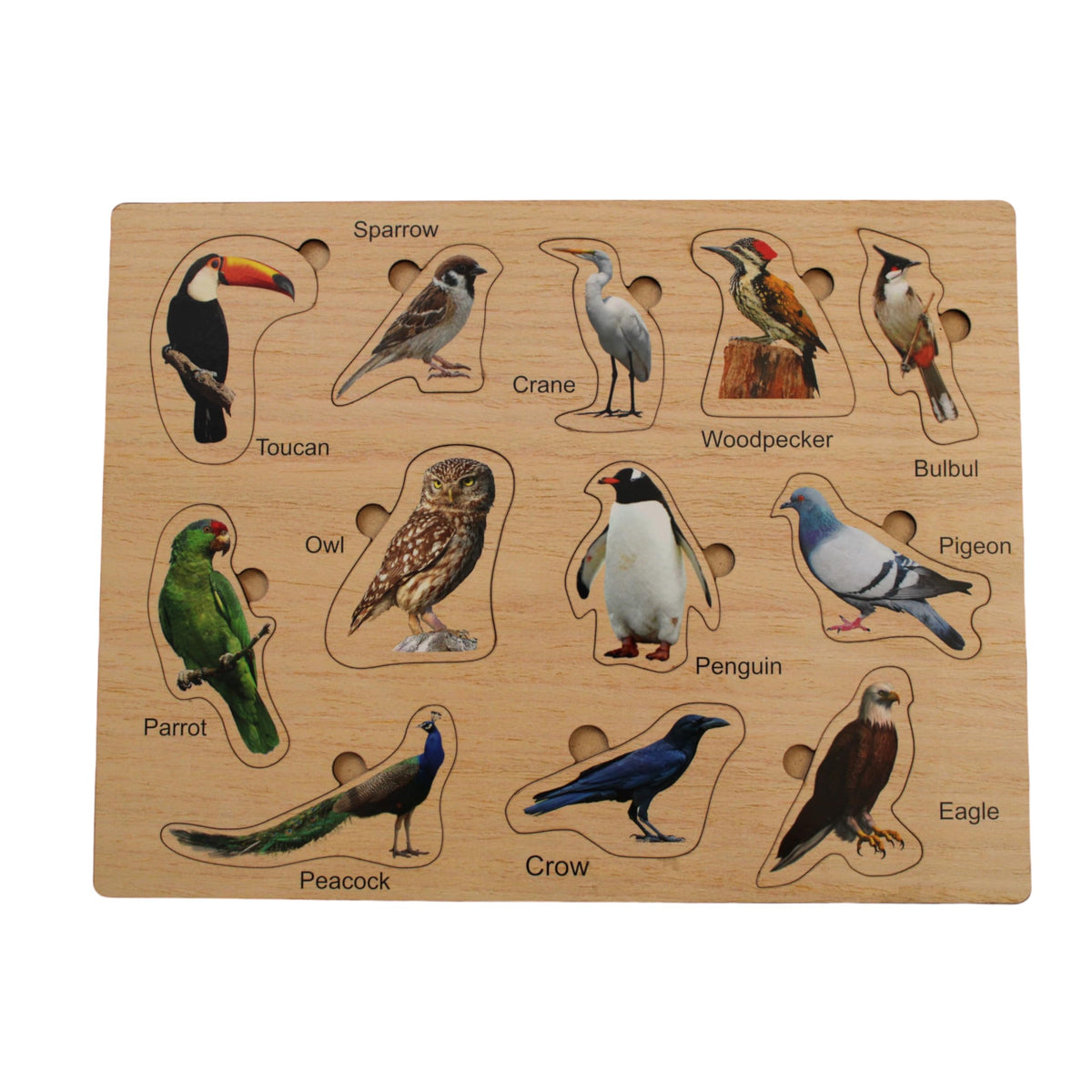 Activity Block for Wooden Puzzle Birds