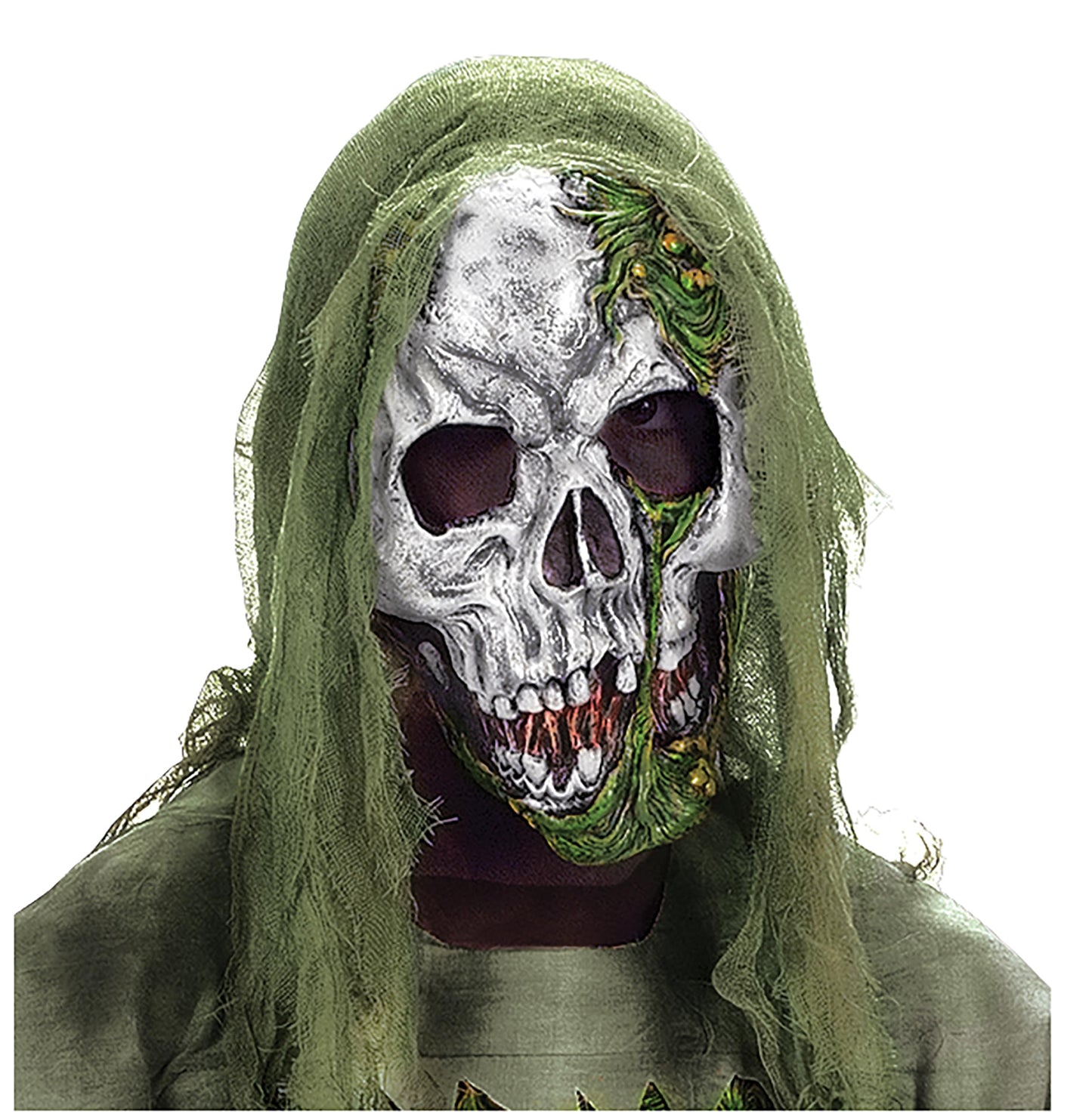 Fun World Costumes Kids Skeleton Zombie Costume - L