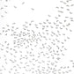 Mindware Extreme Dot To Dot: Extreme Animals