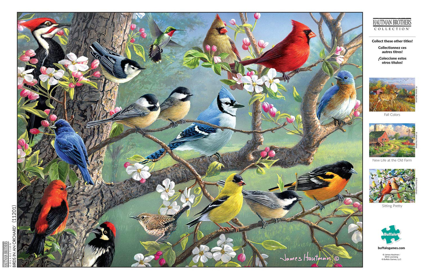 Buffalo Games 1000 Piece Jigsaw Puzzle - Hautman Brothers Birds in an Orchard - Large Multicolor Paper Puzzle