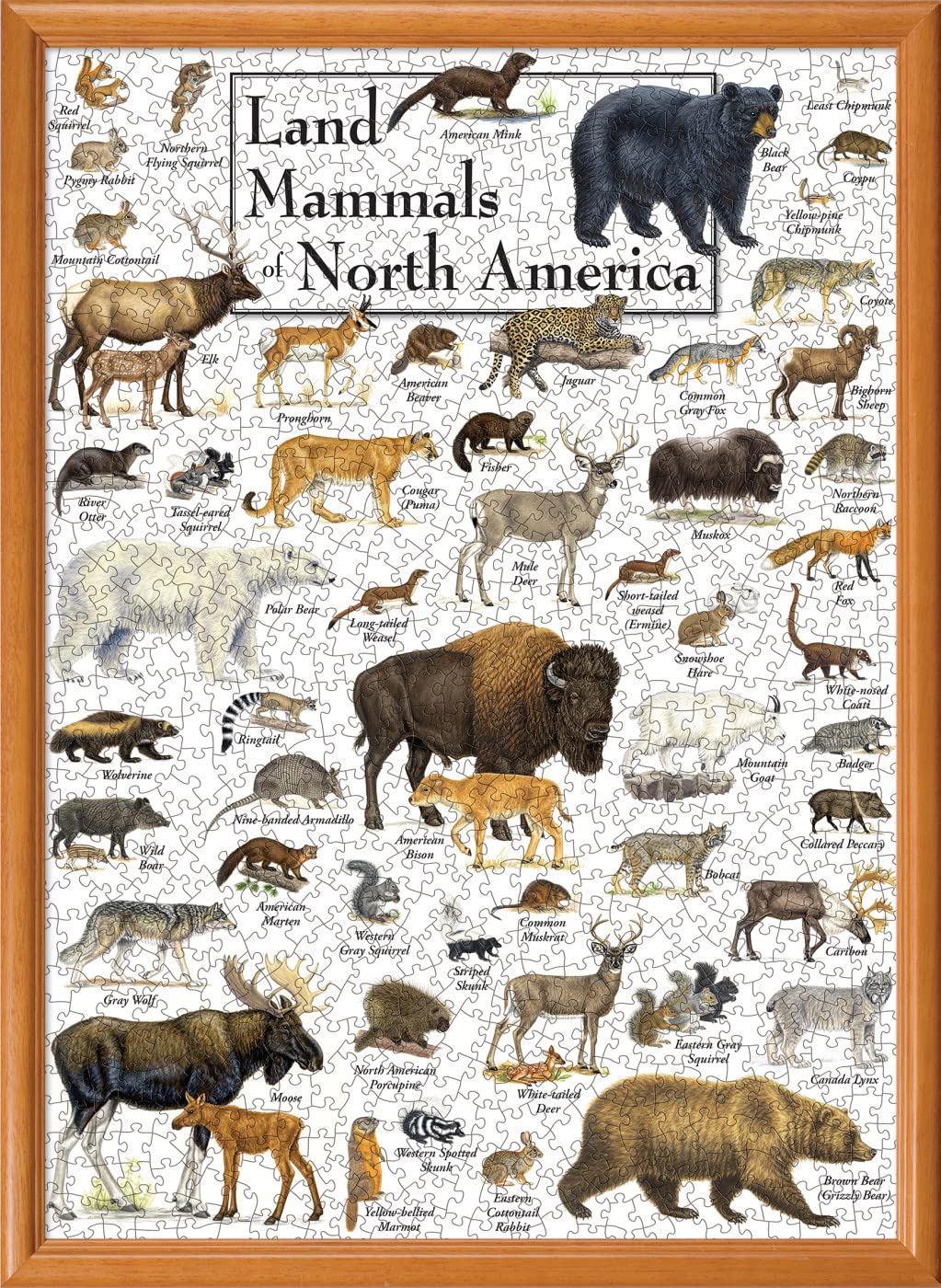 Masterpieces 1000 Piece Jigsaw Puzzle For Adults, Family, Or Youth - Land Mammals Of North America - 19.25'X26.75'