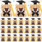 Gejoy 24 Pcs Graduation Mini Lion Stuffed Animal Tiny Congrats Grad Doll Small Soft Plush Animal Keychain With Graduation Cap Fo