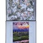 Wonderscapes - Grand Teton National Park Jigsaw Puzzle, 1000 Pieces, 27.55 X 19.68 In