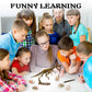 Premium STEM Fossil Digging Kit