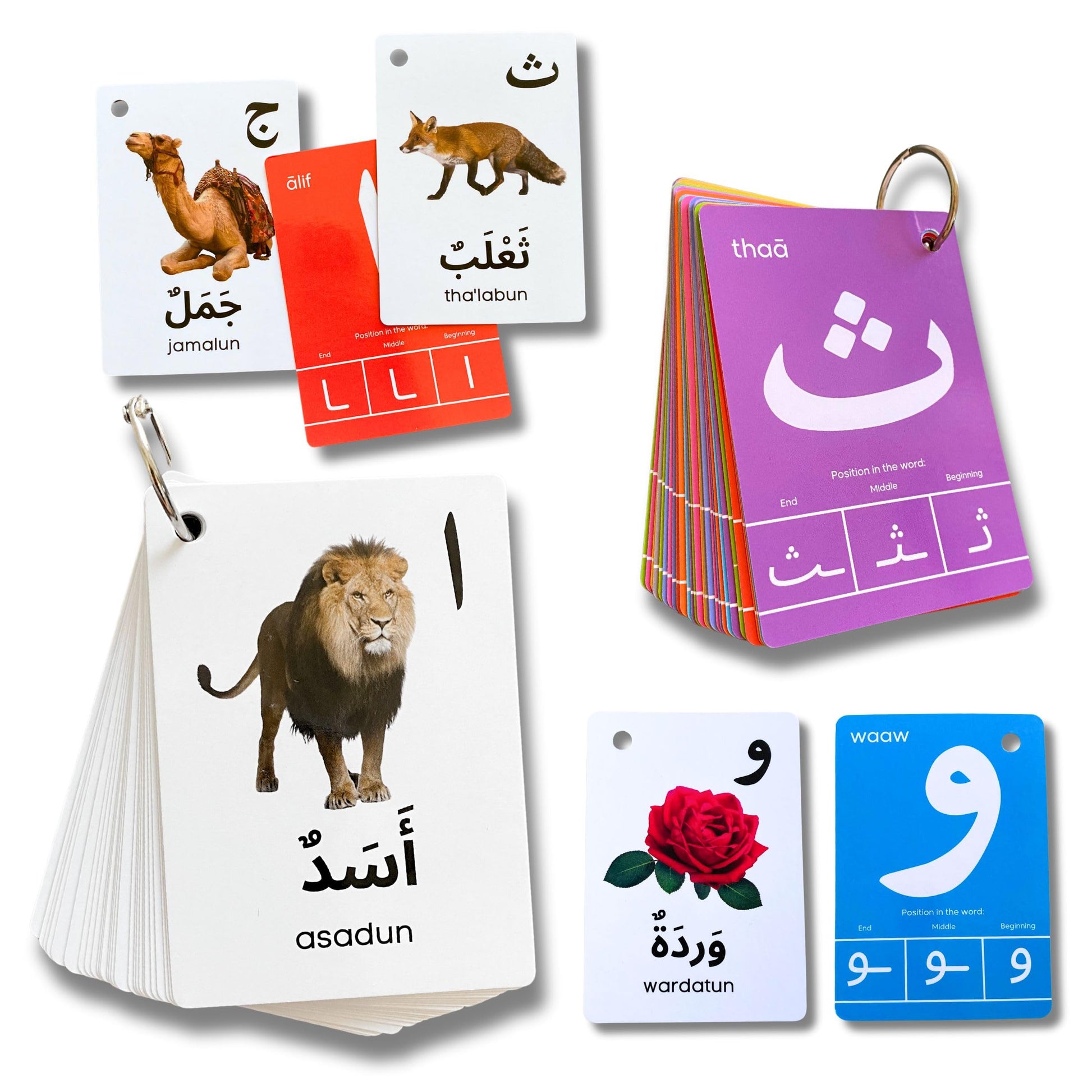 Arabic Alphabet Flash Cards for Kids Toddler and Adults, Arabic First Words, Letter Recognition, Homeschool Learning, Arabic Tea