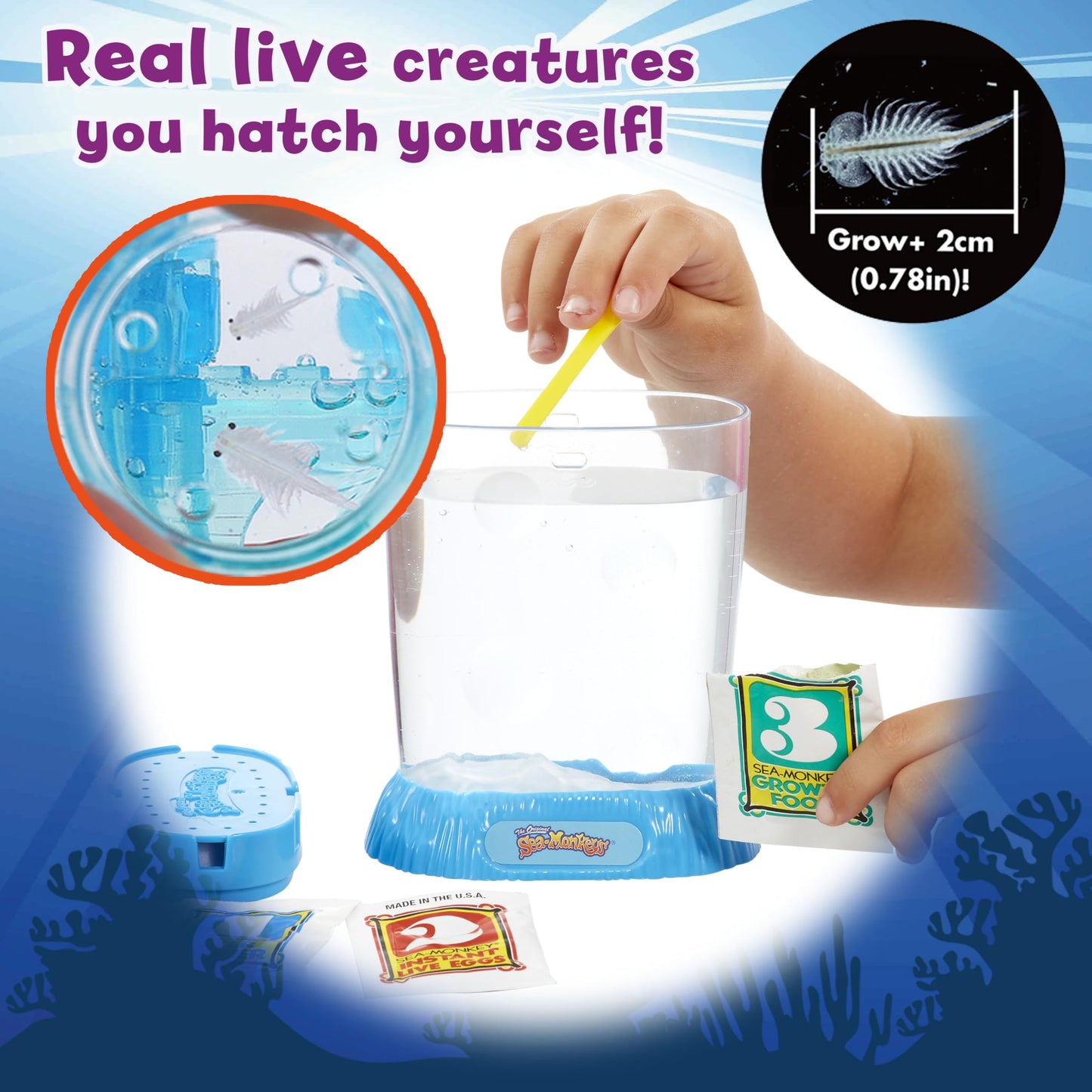 Sea Monkeys DI23230 Magic Castle