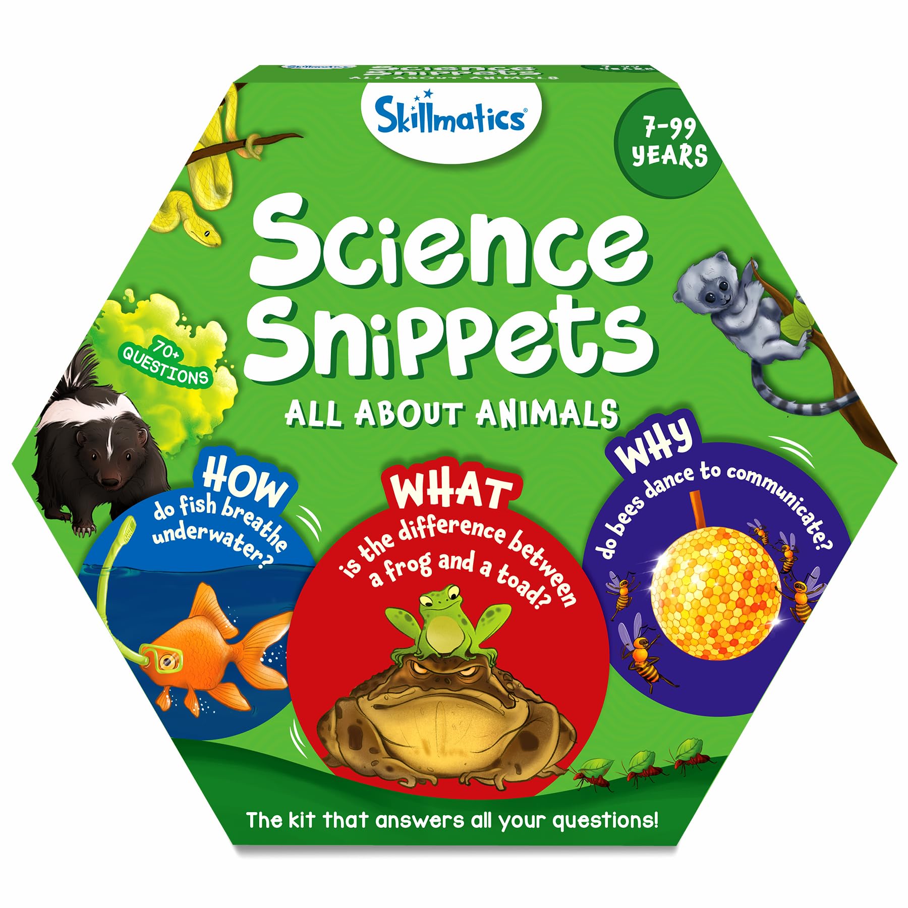Skillmatics Flash Cards - Science Snippets Animals, Learning Resources & Educational Toys For Boys & Girls, Gifts For Ages 7, 8, 9 & Up