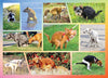 Better Me Pooping Dogs Puzzle - 1000-Piece Funny Jigsaw for Dog Lovers - Cardboard, Mixed Color, Super Poopinator 3000 Model