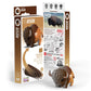 Eugy Bison 3D Puzzle, 24 Piece Eco-Friendly Educational Toy Puzzles For Boys, Girls & Kids Ages 6+