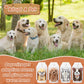 Roundfunny 33 Pcs Mini Plush Dogs Stuffed 4 Inches Small Puppy Stuffed Animal With Keychain Kraft Paper Dog Boxes And Paper Cone