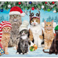 Buffalo Games Meowy Christmas 300 Piece Jigsaw Puzzle - Multicolor, Paper, 21.25 x 15.00, Perfect for Game Nights, Model 2707