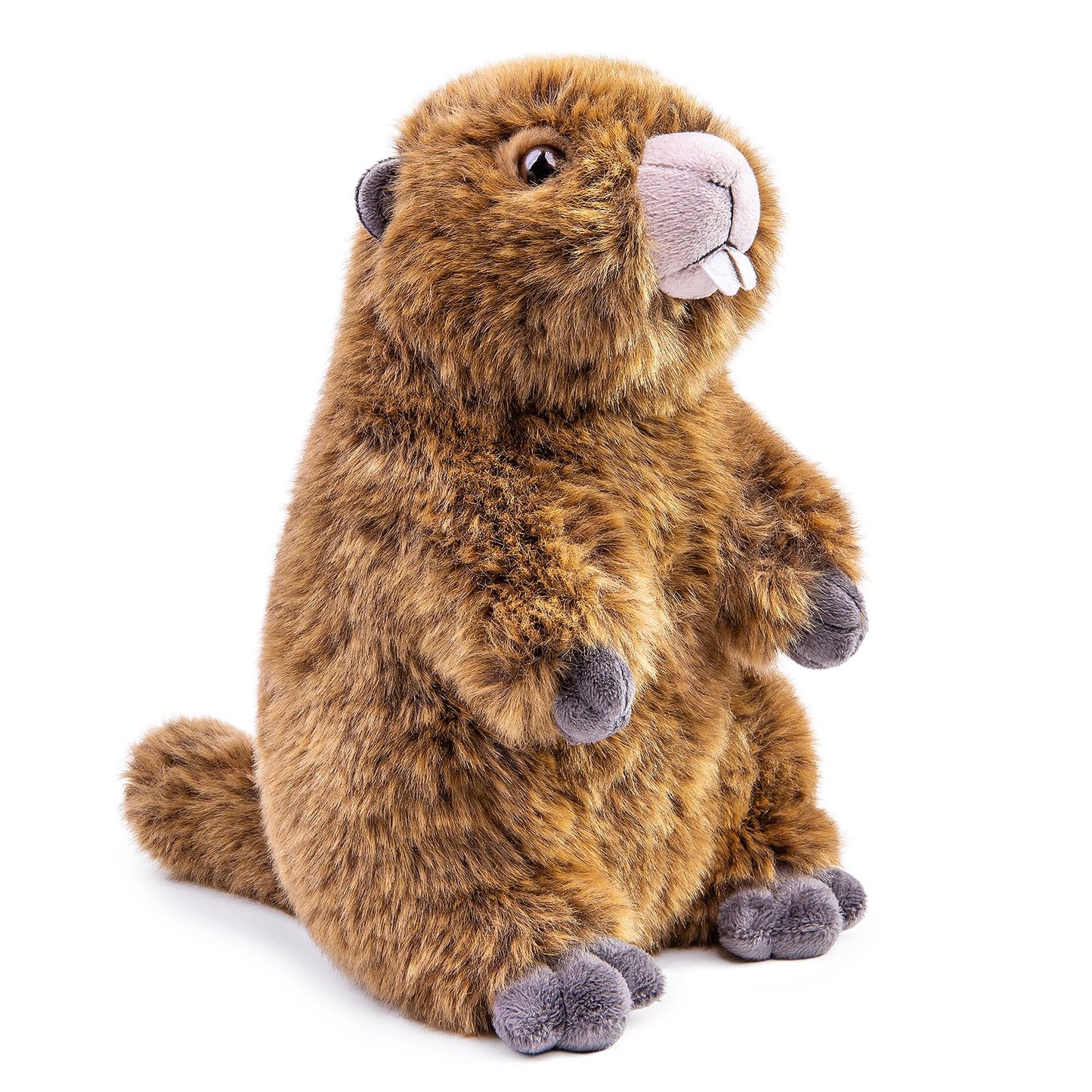 Zhongxin Made Simulation Groundhog Plush Toy - Cute Real Life Greedy Groundhog Simulation Plush Toys, Lifelike Wild Animals Prai