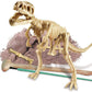 Young Paleontologists Excavation