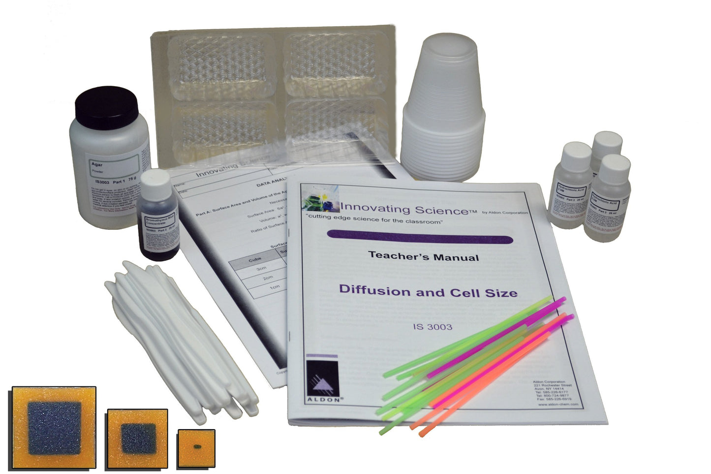 Innovating Science Diffusion And Cell Size Kit