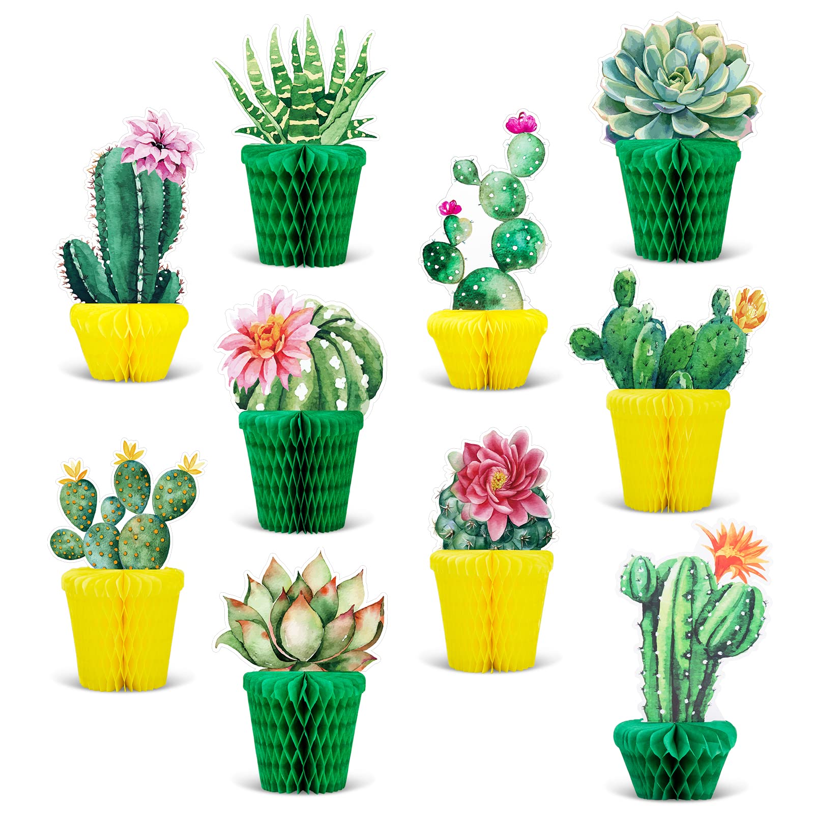 Whaline 10Pcs Cactus Honeycomb Centerpiece Potted Succulent Paper Table Topper Rustic Bloom Theme Summer Party Table Decoration For Birthday Hawaiian Luau Baby Shower Photography