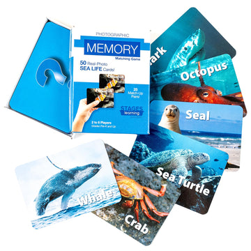 Stages Learning Materials Picture Memory Sea Life Card Real Photo Concentration Memory Game,Aquamarine,Size 5 X 3