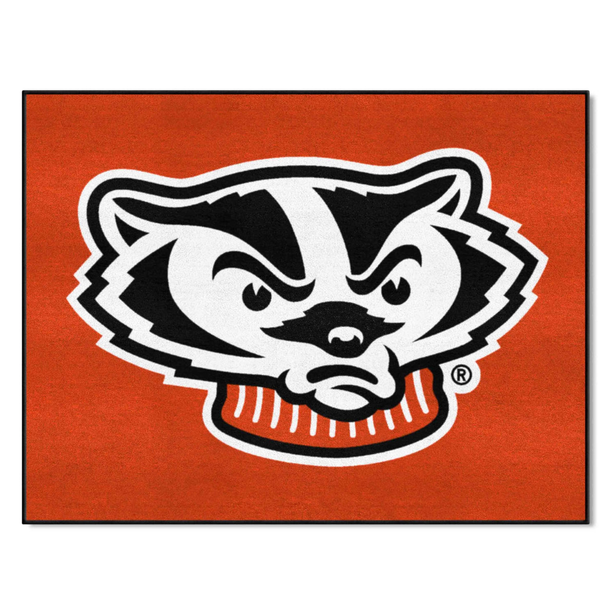 FANMATS NCAA University of Wisconsin Badgers Nylon Face All-Star Rug , 34x45