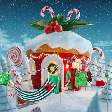 11 Pieces Christmas Elf Doll Accessories Set Include Elf Sleeping Bag Scarf Mask Bathrobe Shoes Hammock Apron Chef Hat Glasses C